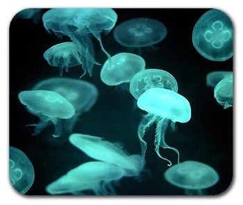 Общие сведения Высококачественные бродяги медузы биолюминесцентные светящиеся животные коврик для мыши коврик для мыши коврик для мыши коврик для мыши